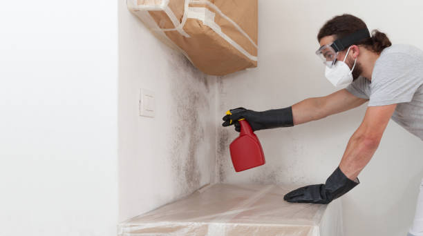 Professional Crawl Space Mold Remediation technician working in Lyndhurst, NJ